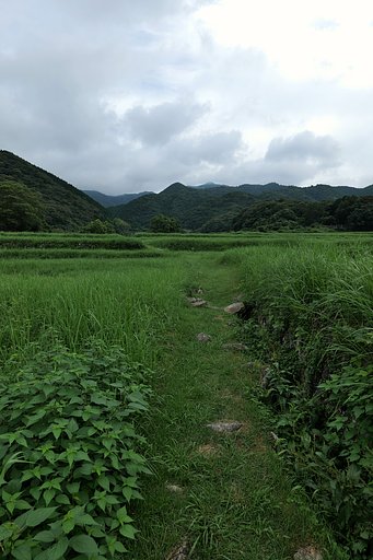 里山