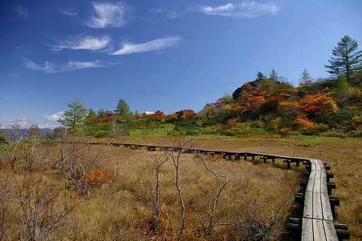 高山の紅葉-草津-