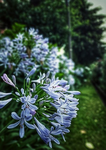 6月27日の写真