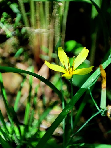 6月30日の写真