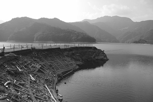 1月19日の写真