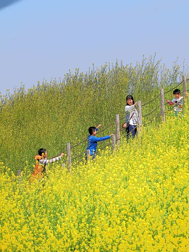 坂のある風景～さきたま古墳公園～