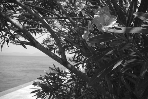 1月22日の写真