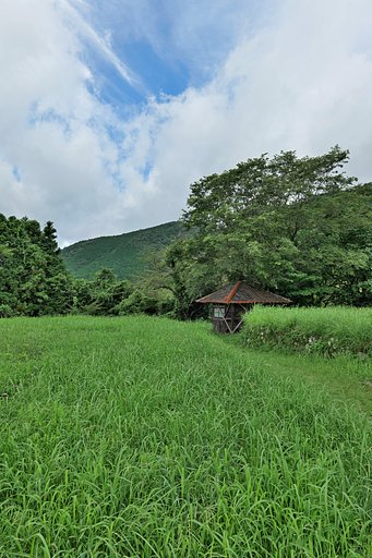 里山