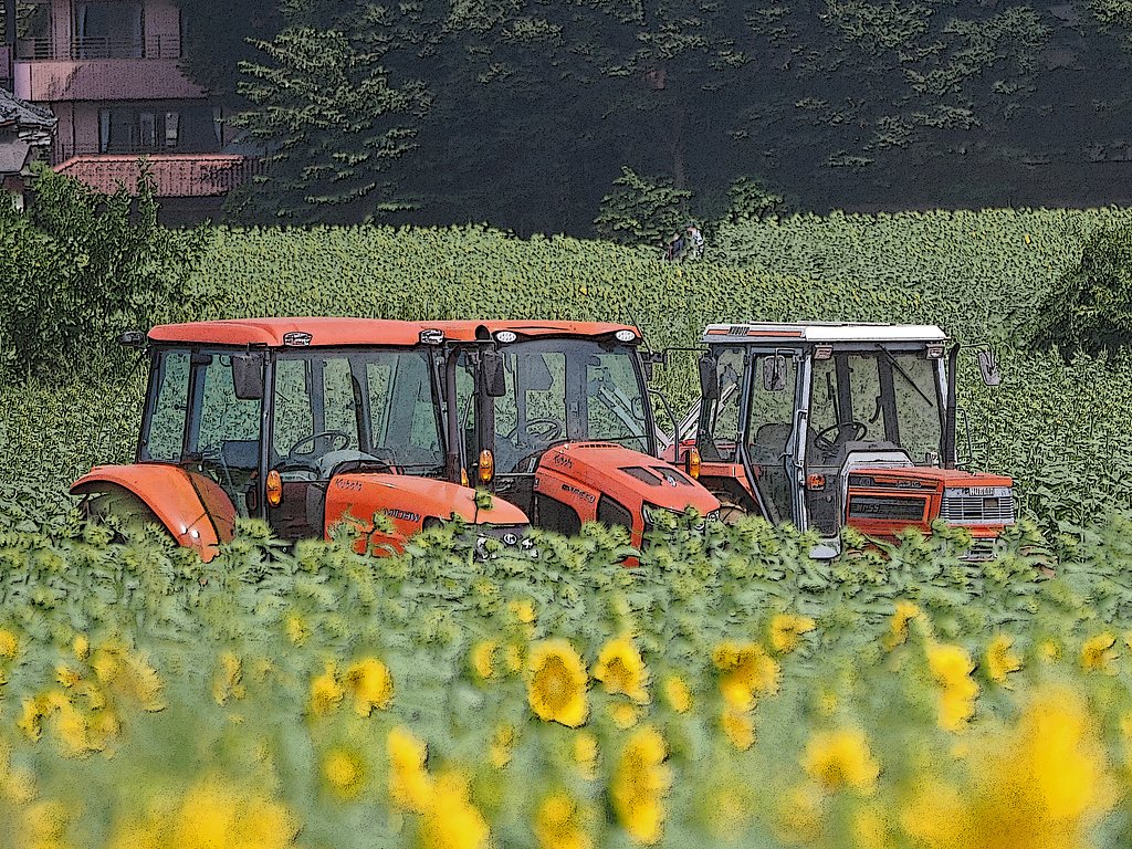 夏休みの三兄弟