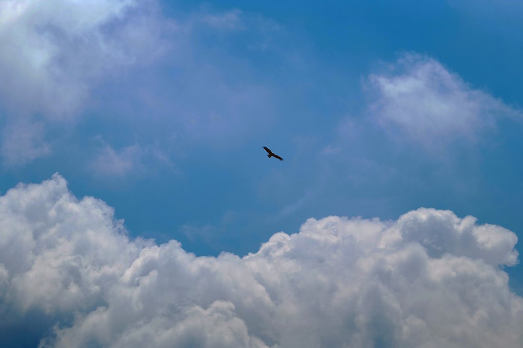 夏の雲