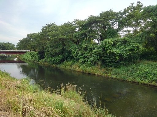 7月18日の写真