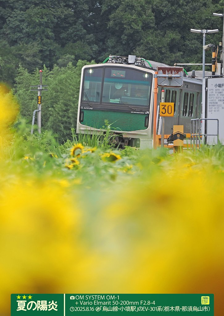 夏の陽炎２