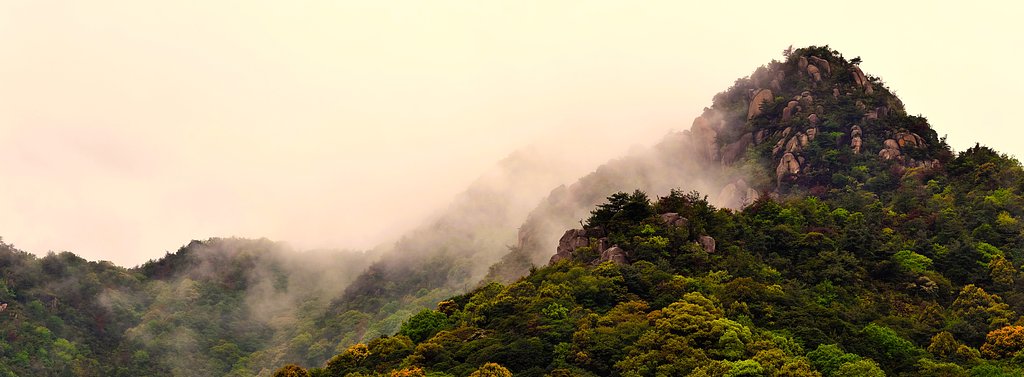 雨上がりの朝