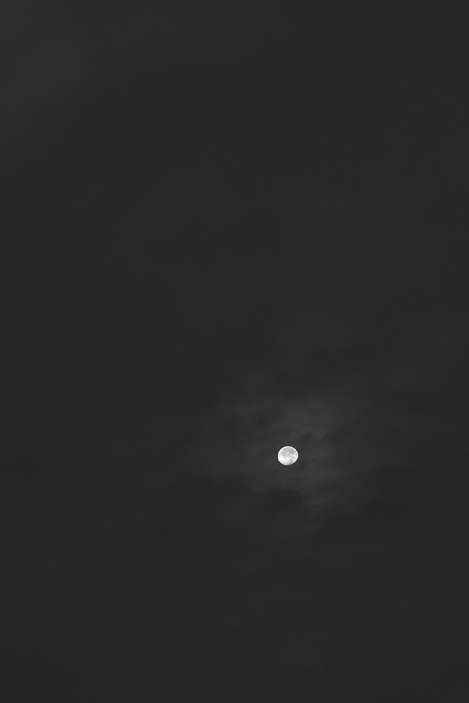 Bark at the moon