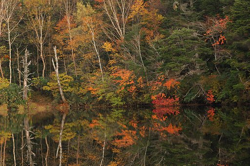 日没直後の紅葉映り込み