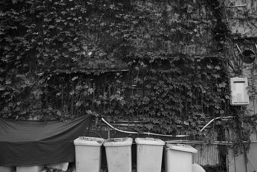 8月29日の写真