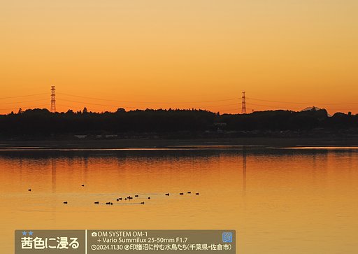 茜色に浸る