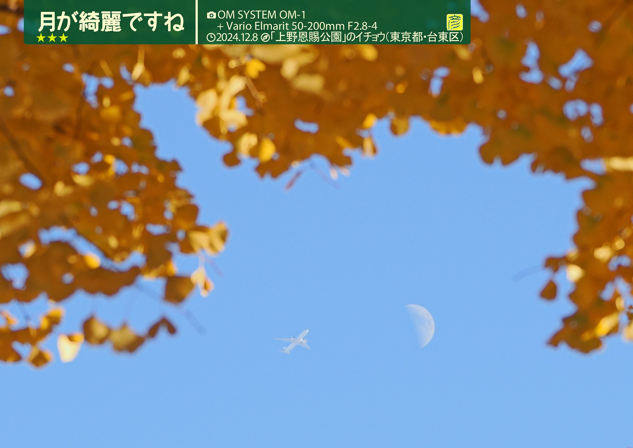 月が綺麗ですね３