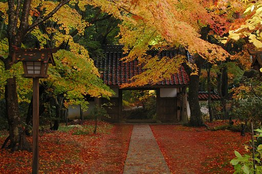 寺の秋II