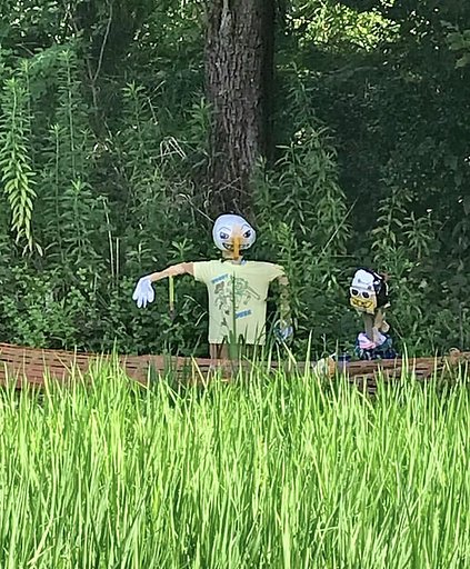 案山子