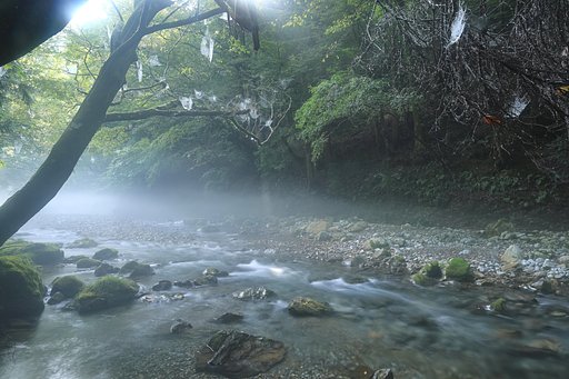 水遊び