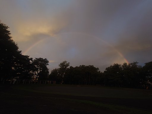 9月11日の写真