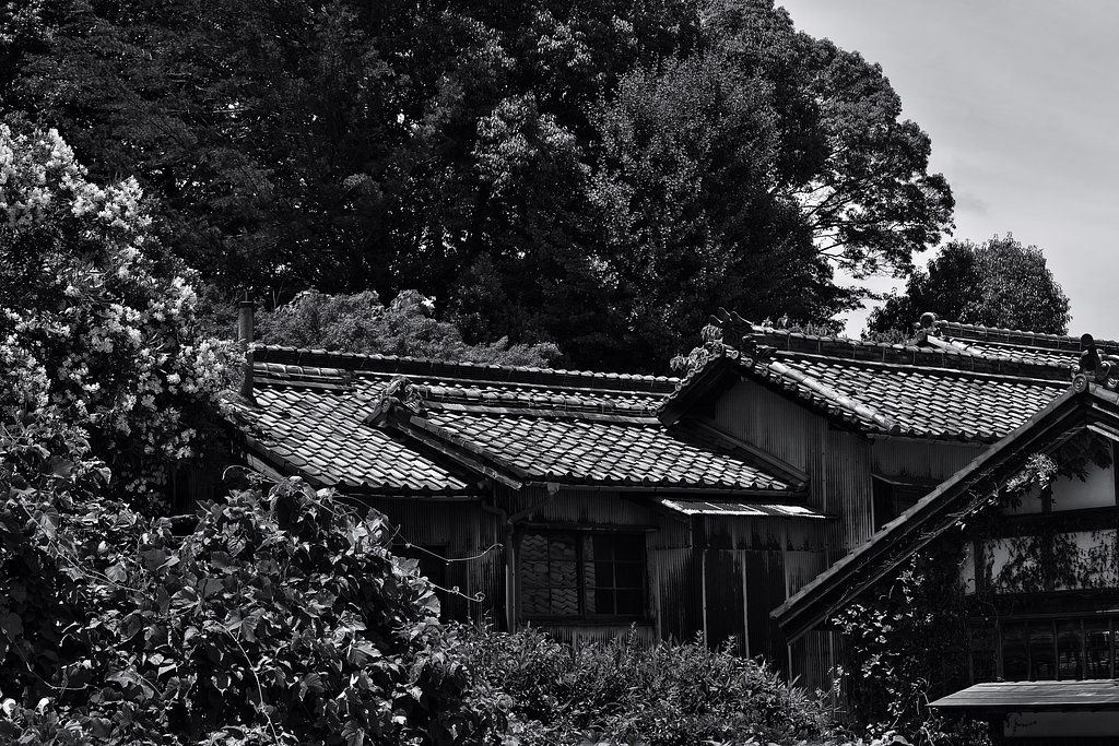 廃屋
