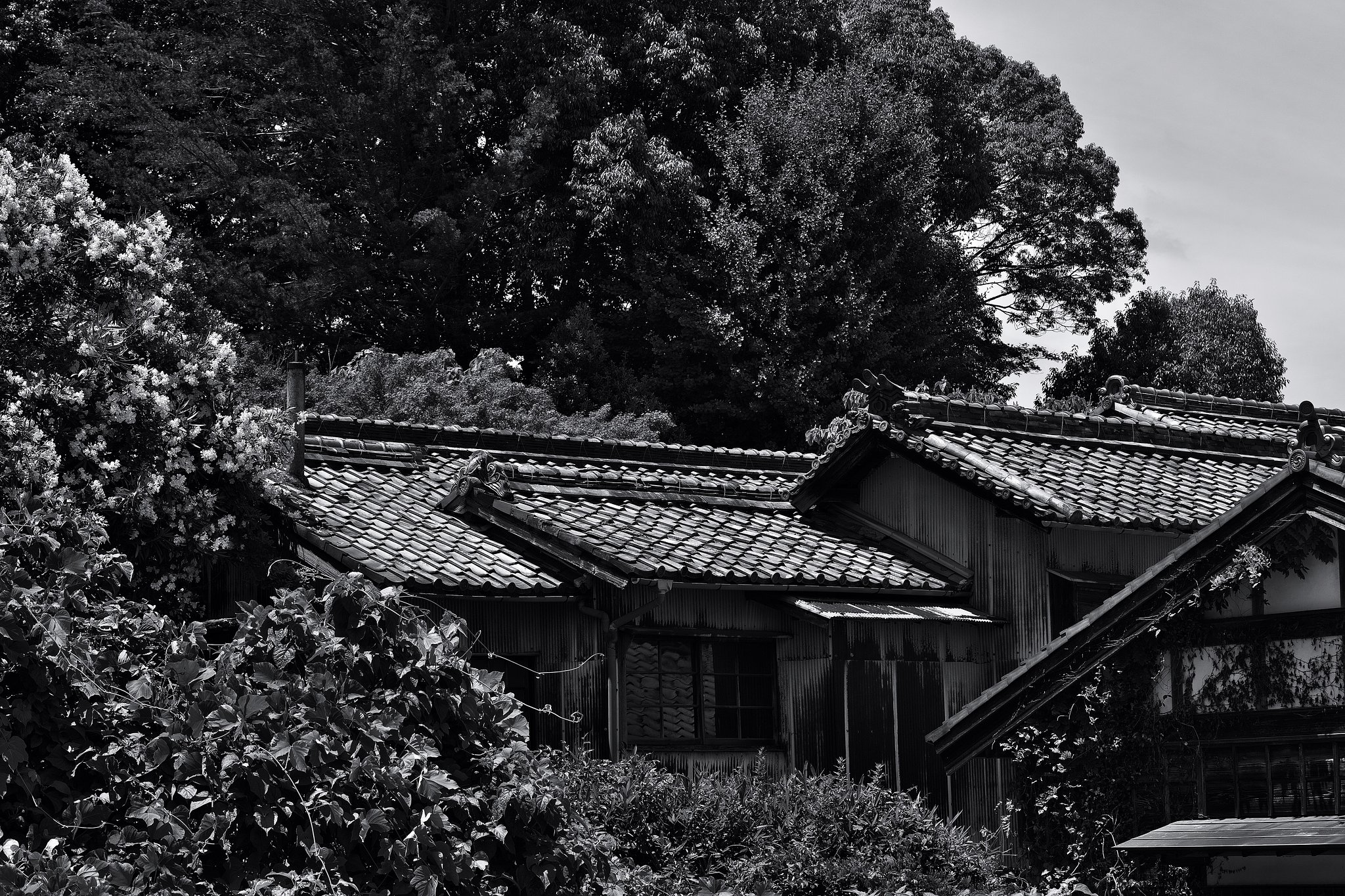 廃屋