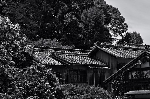 廃屋