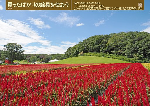 買ったばかりの絵の具を使おう。