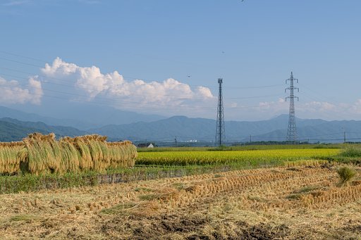 ハザカケの秋風景
