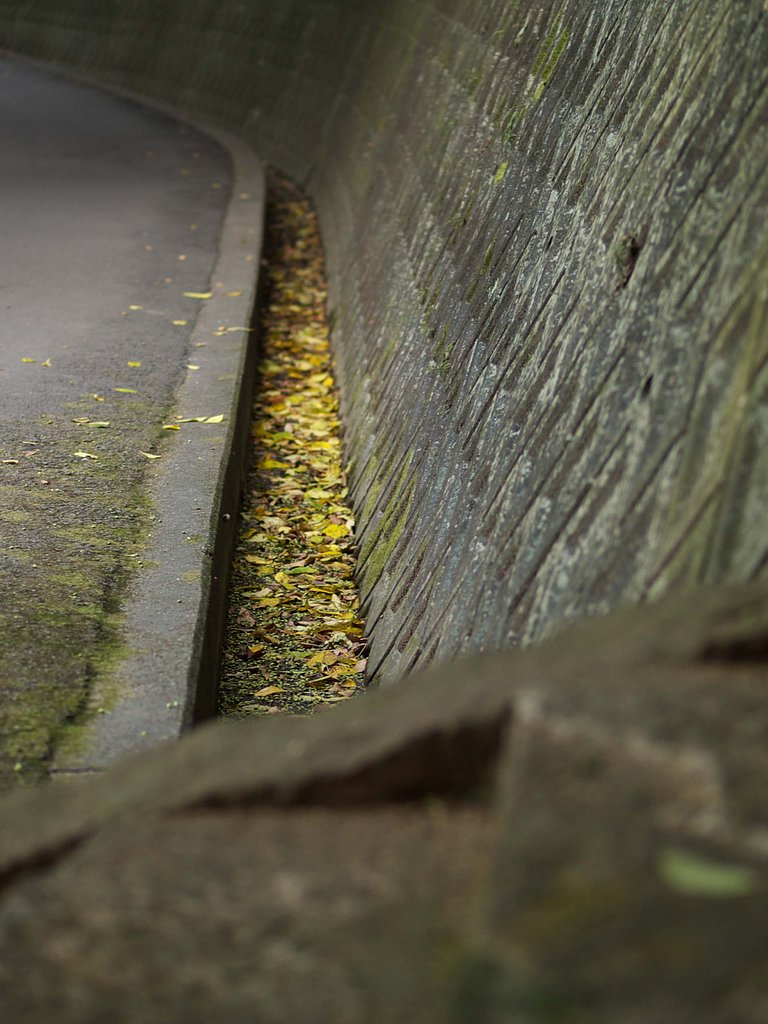 札所への登り道