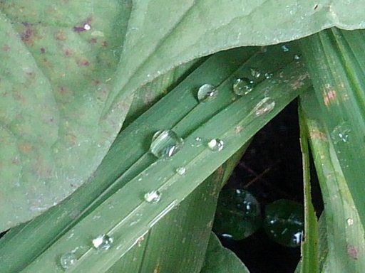 9月22日の写真