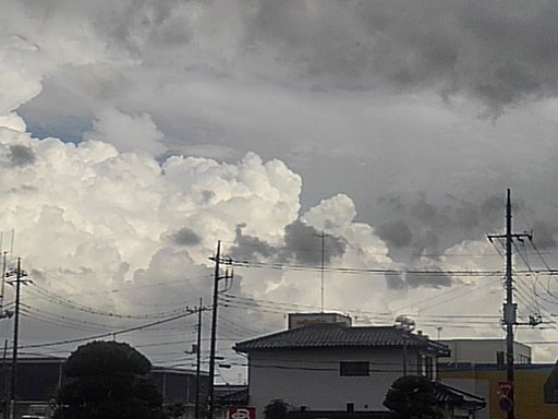 8月27日の写真