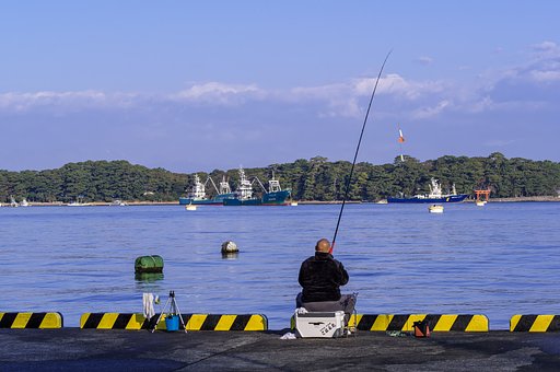 箱港の釣り人