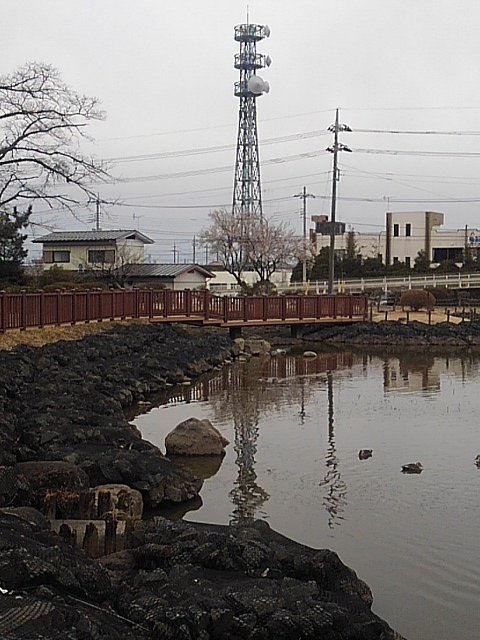 池の奥に鉄塔