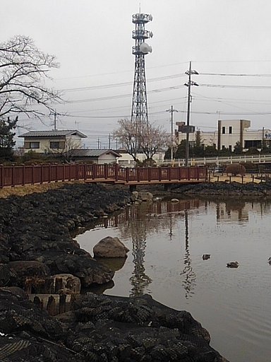 池の奥に鉄塔
