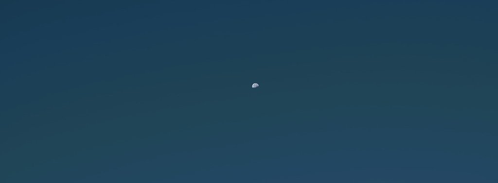 外は白い月の夜