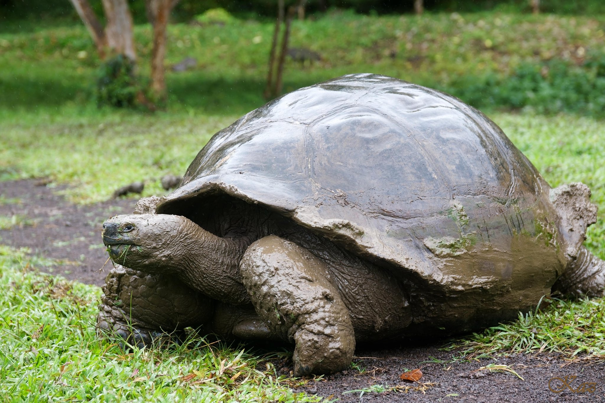 Galápagos Islands 05