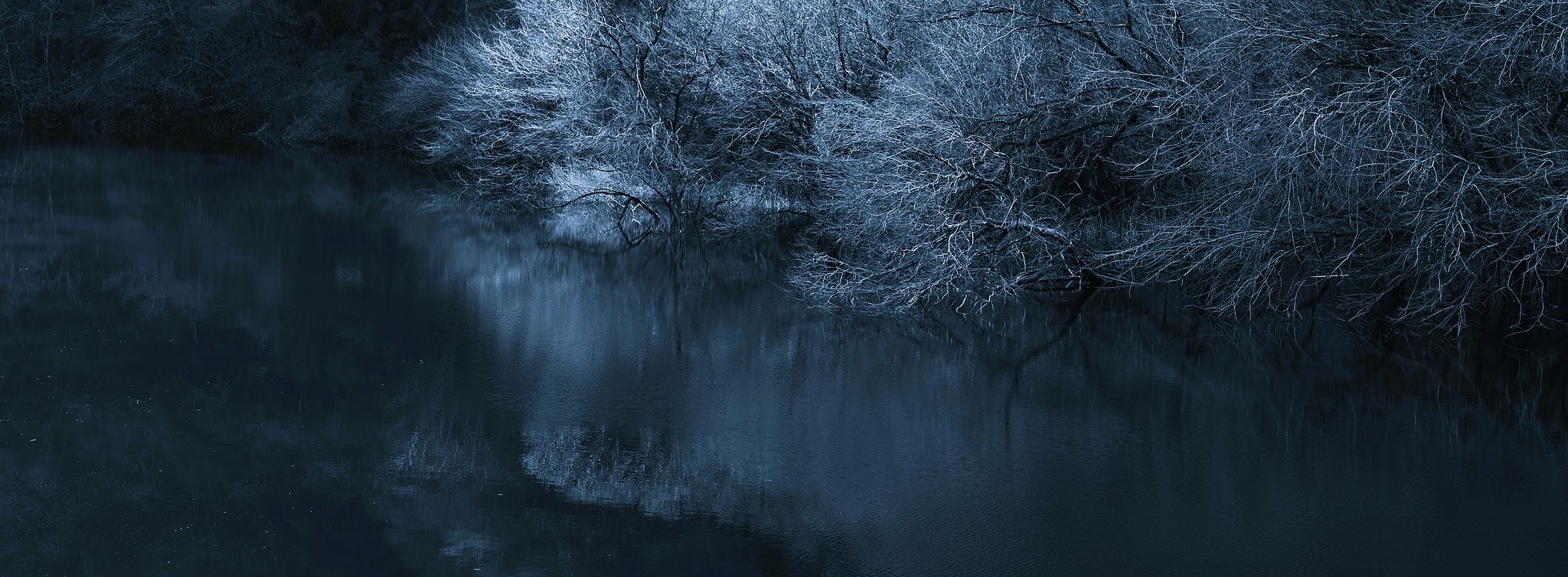 bluemoment