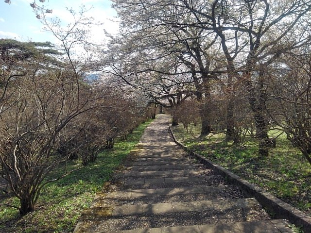 春の公園の丘の緩やかな階段