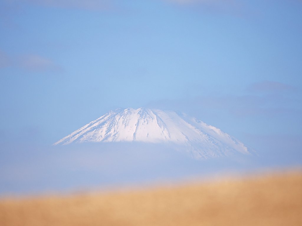 復旧しましたね。ありがとうございます。