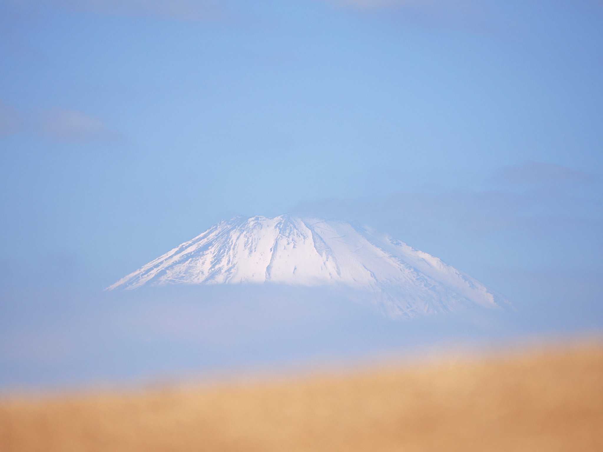復旧しましたね。ありがとうございます。