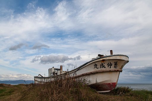 10月14日の写真