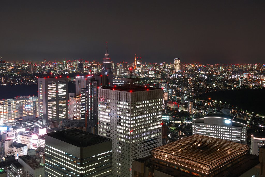 東京都庁展望
