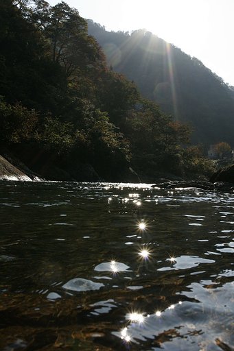 見頃までもう少し
