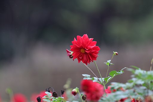 来ない・・・
