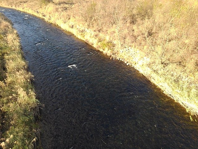 橋の上からの川の水面