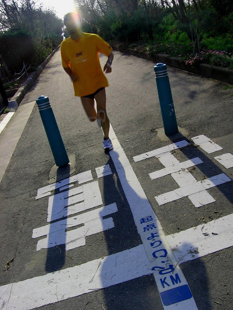 黄色は・・・