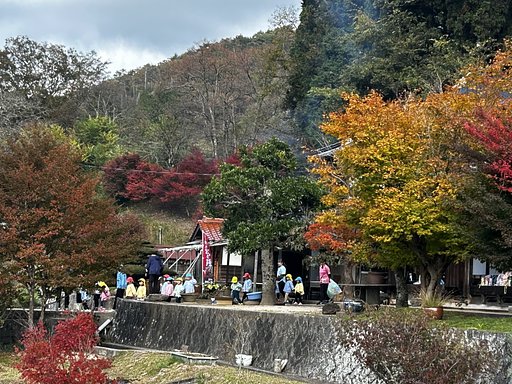 紅葉