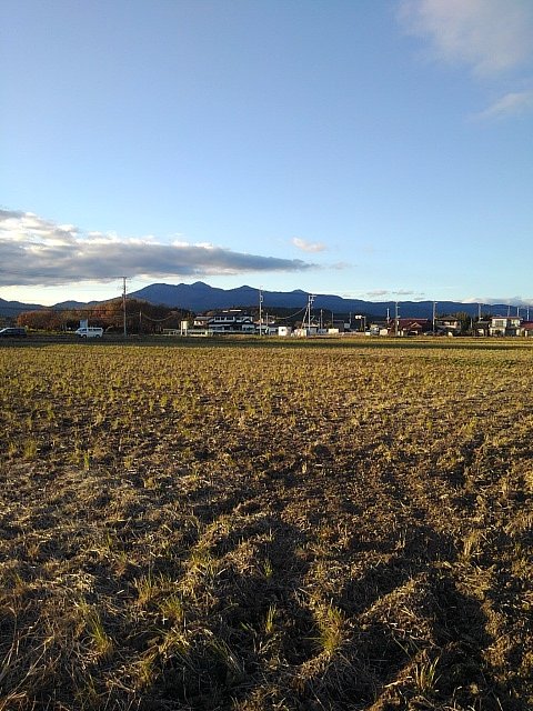水田地帯の奥に見える高原山