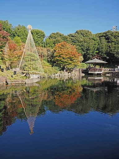 秋を慈しむ