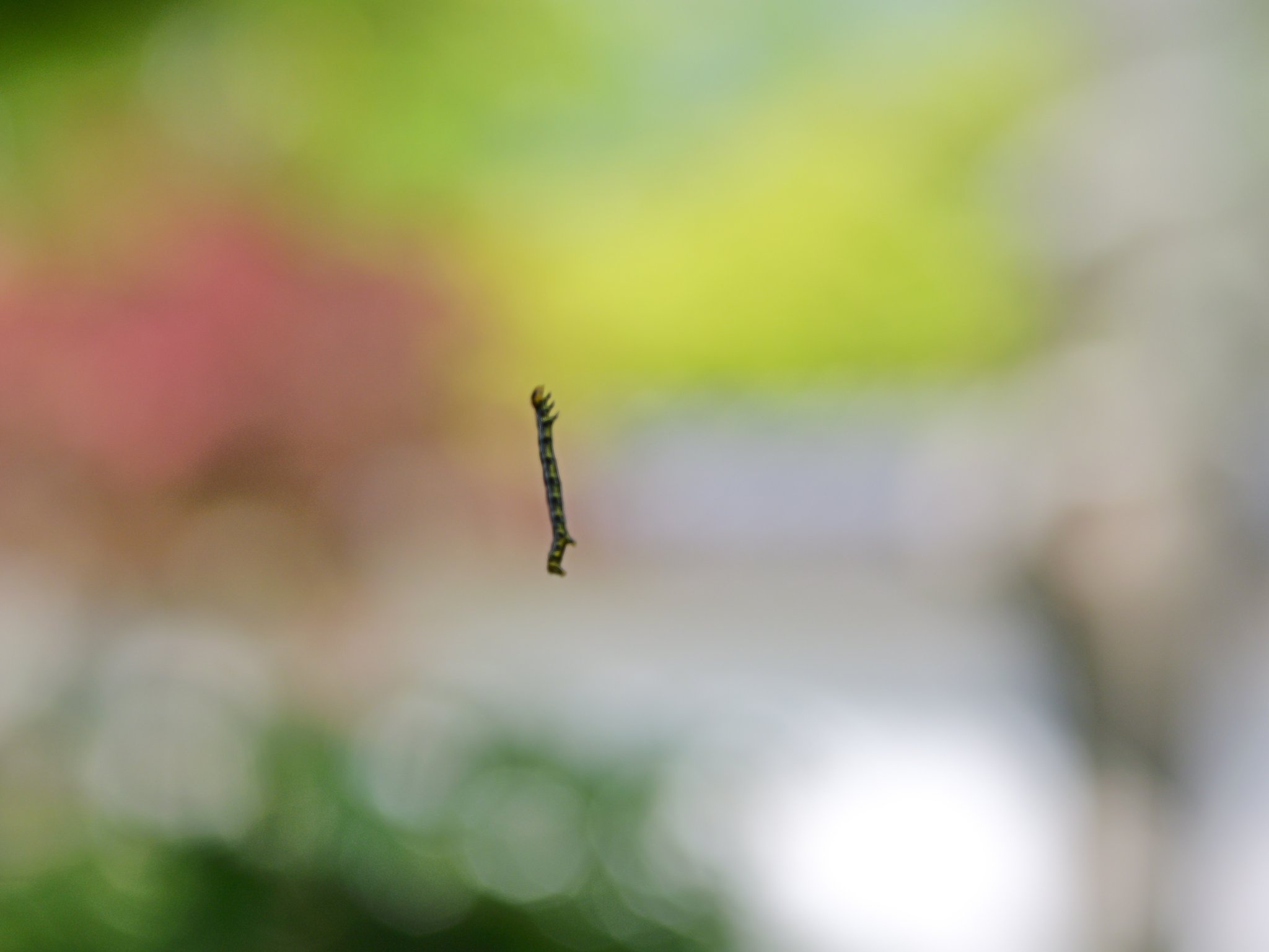 下がりもの要注意