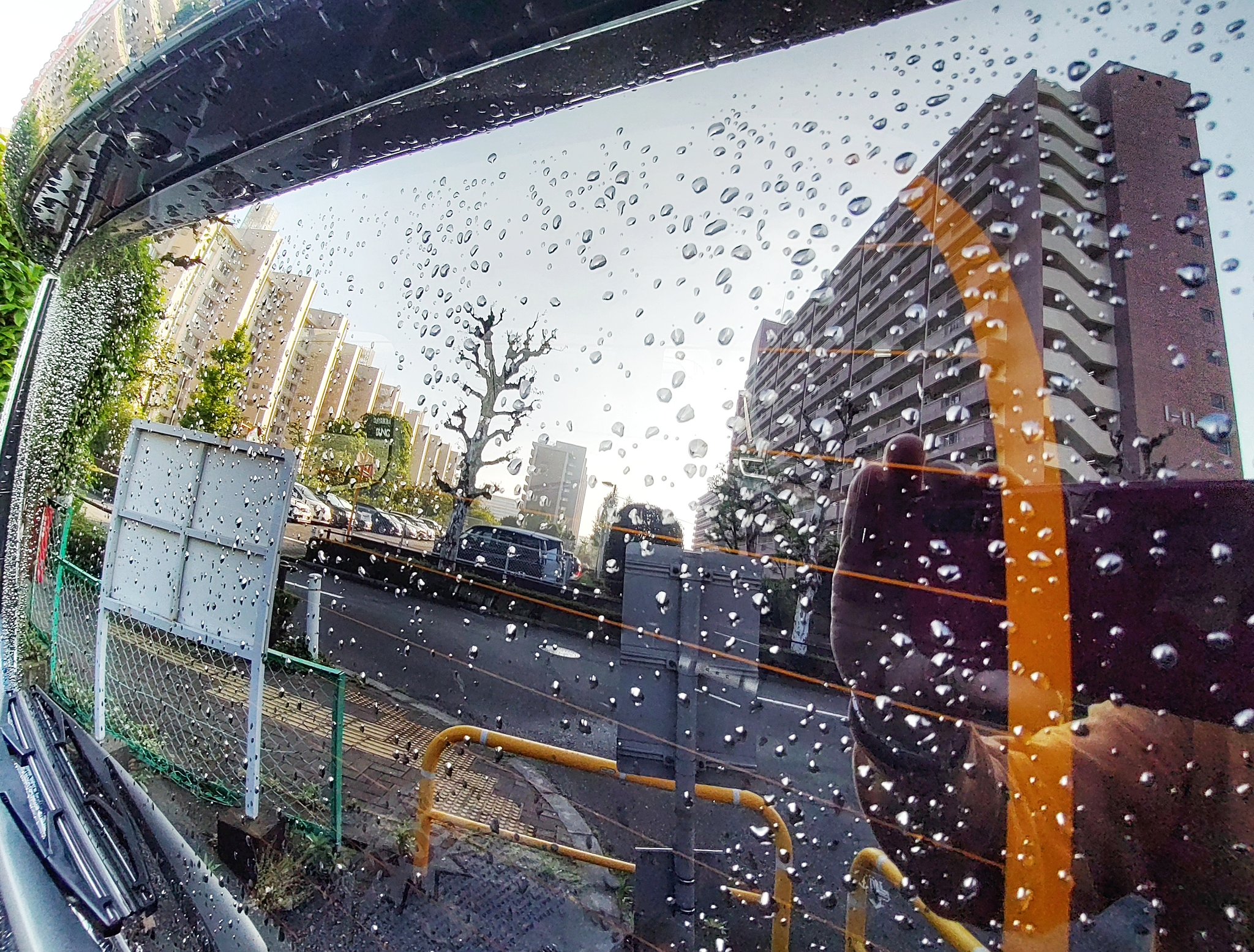 雨上がる
